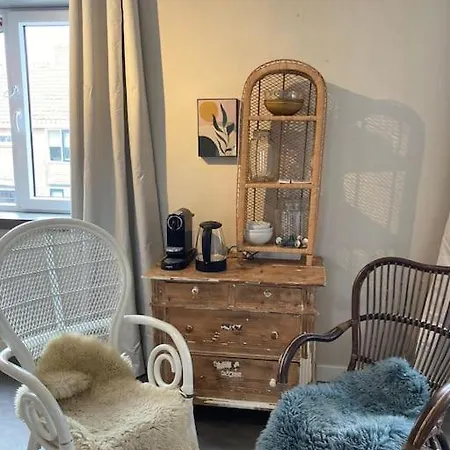 Mint Aan Het Egmond aan Zee