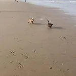 Apartmán Mint Aan Het Egmond aan Zee