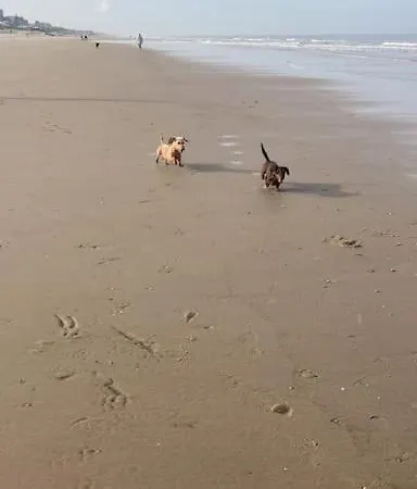 Apartmán Mint Aan Het Egmond aan Zee